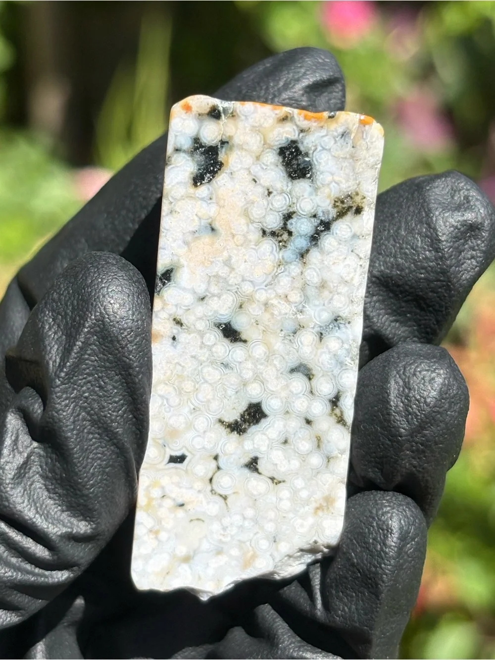 Discounted* Chipped Ocean Jasper Crystal Freeform - Polished Sea Jasper - OBJ